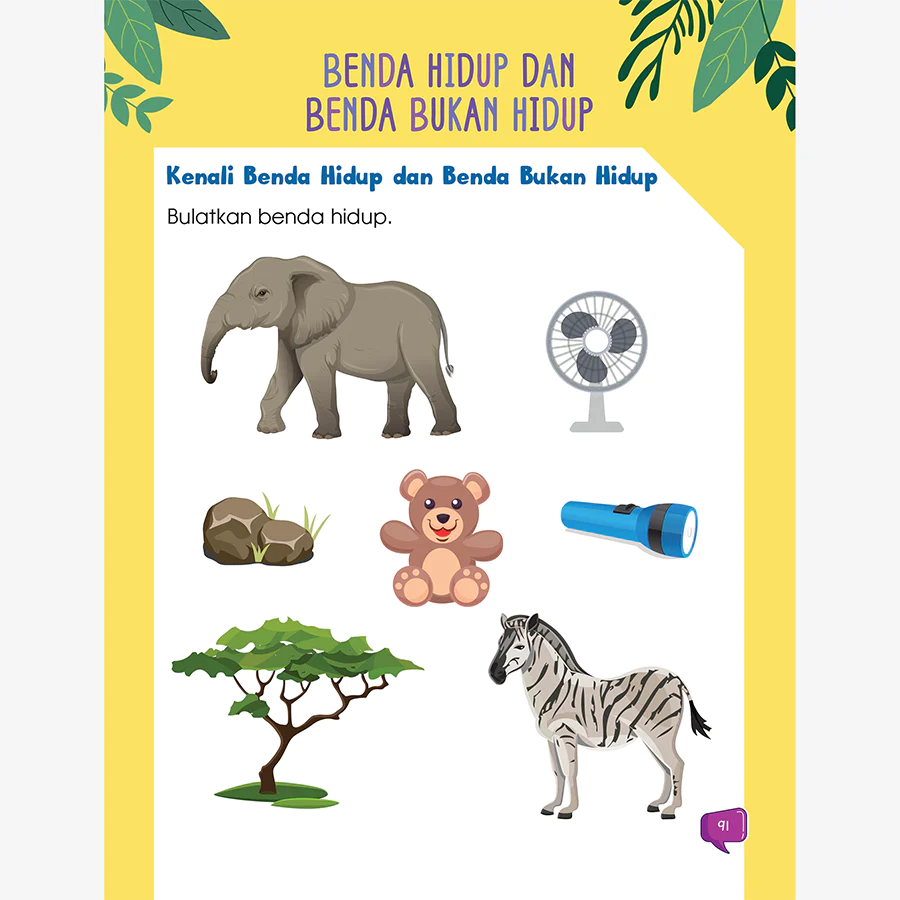 Set STEM: i-Genius TAHUN 1 (4 Siri)