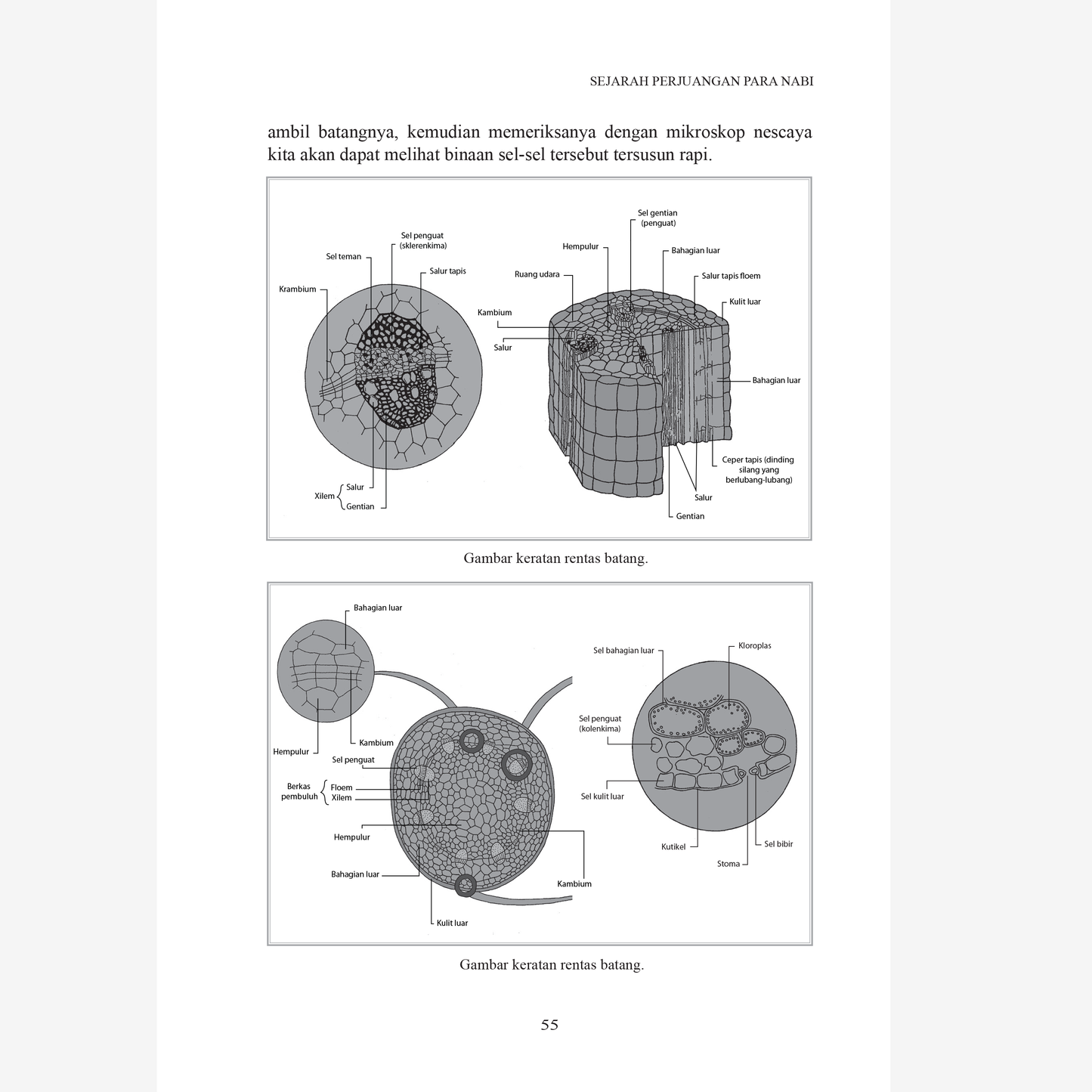 Tafsir Surah al-'Ankabut Dari Perspektif Sains Dan Sejarah