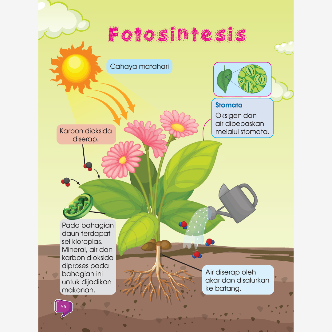 STEM: i-Genius TAHUN 3 (Siri 3)